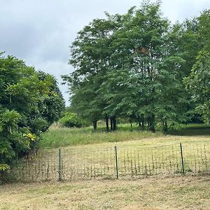 فيلا Domain De Montvert - 5 Min From Saint Emilion Sainte-Terre Exterior photo