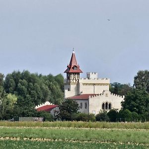 فندق Burg Schleibnitz Bei Wanzleben Exterior photo