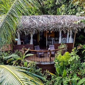 Custom Jungle Home By The Beach بوكاس تاون Exterior photo