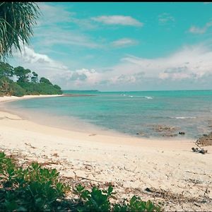 فندق Mallick Palace Neil Island South Andaman Ram Nagar Exterior photo