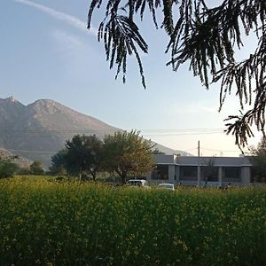 فندق Sariska Nature Estate Thana Ghazi Exterior photo