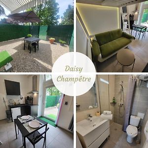 شقة Daisy Champetre #Terrasse #Clim #Parking Irigny Exterior photo