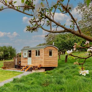 فيلا Bramley Hut Allerford Bossington Exterior photo