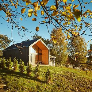 فيلا Scandinave Chalet Bran Zărneşti Exterior photo