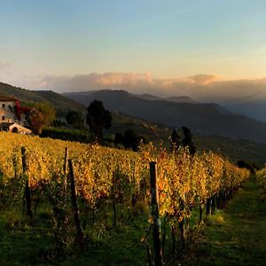 فيلا Agriturismo Fattoria Lavacchio بونتاسيفي Exterior photo