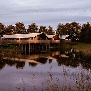 فندق Luxe Glamping Tent Bant Exterior photo