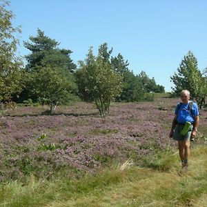 فيلا Gite Ecologique A 10 Min Des Pistes Avec Wi-Fi Et Environnement Calme - Fr-1-496-98 تشالمازيل Exterior photo