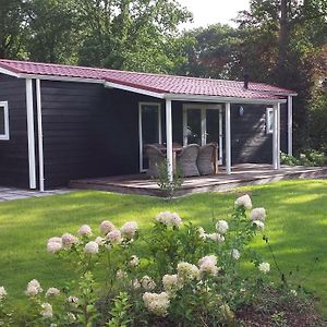 فيلا Garden View Chalet With Terrace Or Conservatory Near Amerongse Berg Elst  Exterior photo