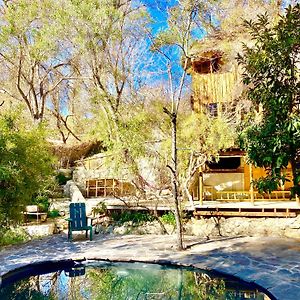 فيلا La Casa Entre Los Arboles En El Valle De Elqui Montegrande بايهوانو Exterior photo