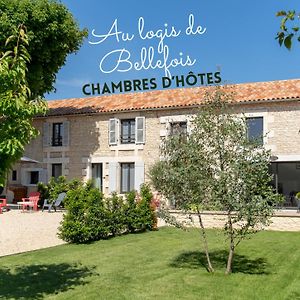 Neuville-du-Poitou Au Logis De Bellefois - Chambres D'Hotes Exterior photo