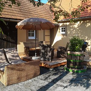 فيلا Ferienhaus Im Suedburgenland Inzenhof Exterior photo