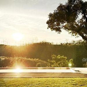 مبيت وإفطار Brejao Choeiro Verde - Casa De Campo Na Costa Vicentina Exterior photo