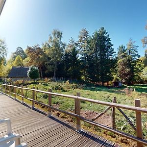 مبيت وإفطار Sainte-Fortunade Moulin De Lachaud Exterior photo