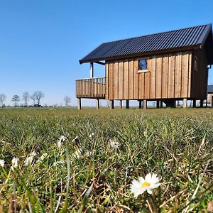 Nice Lodge With Unobstructed View In Drenthe راونرفولد Exterior photo