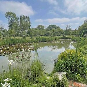 فيلا Maison De Caractere Avec Jardin, Proche D'Argentan, Ideale Pour Peche Et Detente En Campagne - Fr-1-497-131 Sarceaux Exterior photo