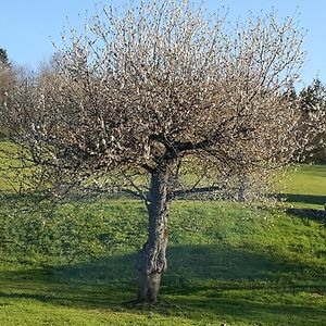 فيلا Gite Bard Des Ours Saint-Martin-en-Vercors Exterior photo