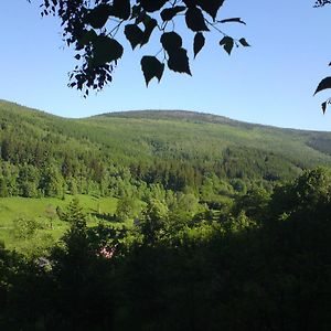 شقة Lesniczowka W Dolinie Świeradów-Zdrój Exterior photo