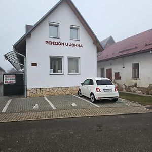 فندق Penzion U Johna Vyšné Ružbachy Exterior photo