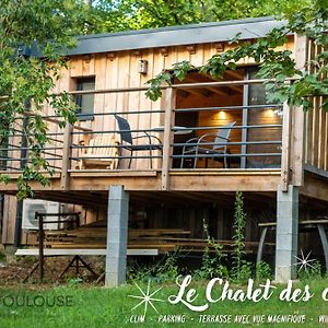 شقة Bnb Toulouse - Le Chalet Des Coteaux - Cadre Magnifique - Wifi - Parking Castelginest Exterior photo