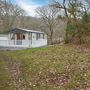 The Hollies Lodge Prenteg Exterior photo