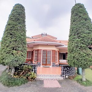 Villa Kodok باسوروان Exterior photo