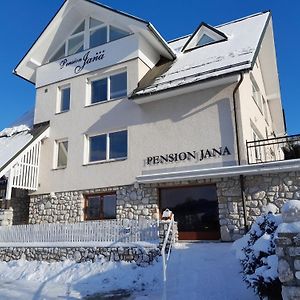 فندق Pension Jana - Wellness يليمنيتسي Exterior photo