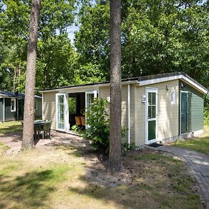 فيلا Nice Chalet In A Car-Free Park Vlierden Exterior photo