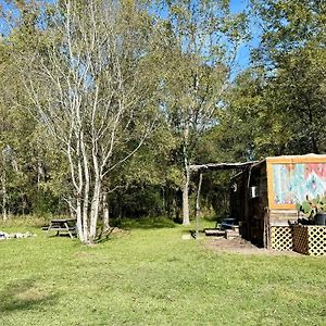 فيلا Cabin 1 Remote Cabin Next To Sam Houston National Forest هانتسفيل Exterior photo