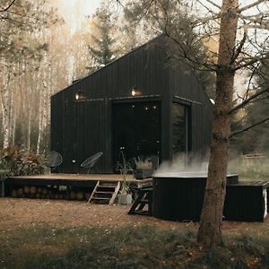 فيلا Briezu Stacija Off Grid Cabin Līgatne Exterior photo