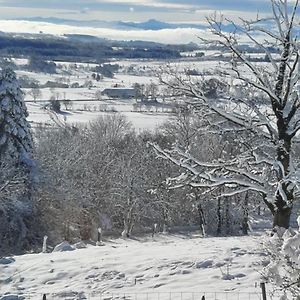 فيلا La Verriere Du Sancy Picherande Exterior photo