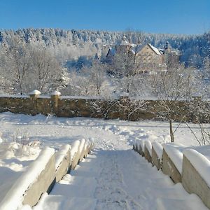 فندق Рудий Лис Skhidnytsia Exterior photo