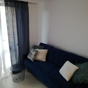 شقة Apartament Przy Parku رادوم Exterior photo