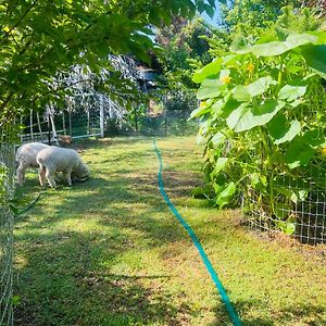 شقة Bird Paradise & Mini Farm بينديجو Exterior photo