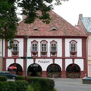 فندق Restaurace A Penzion Podloubi Opočno Exterior photo