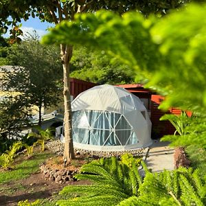 فندق The Secret Garden - Glamping Grenada Morne Rouge Exterior photo