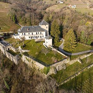 مبيت وإفطار Apremont  Chateau D'Apremont Exterior photo