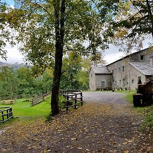 شقة Agriturismo Al Castagno ابيتون Exterior photo