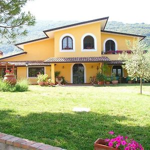 فندق Azienda Agricola Il Bagolaro Nerola Exterior photo