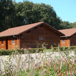 فيلا Boekelفي Chalet De Voetpomp Exterior photo