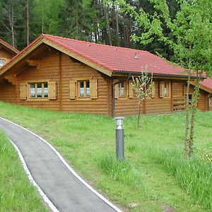 فيلا Blockhaus Bayerischer Wald Stamsried Exterior photo