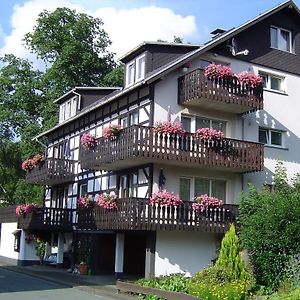 فيلا Ferienhaus Hedrich Assinghausen Exterior photo