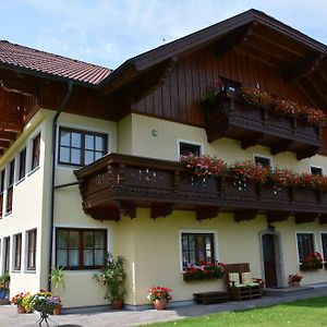 Appart Weisse Urlauben Am Wolfgangsee سانكت جيلجن Exterior photo