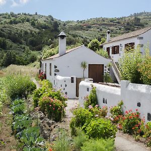 فيلا Casa Rural La Cuna لوس سيلوس Room photo