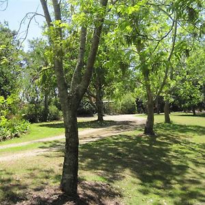 فندق Summerhills Retreat Byron Bay Binna Burra Exterior photo