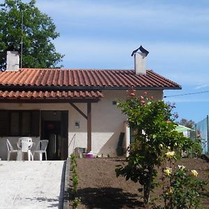 Vila Boa  Holiday Home Mortagua Exterior photo