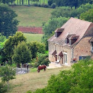 مبيت وإفطار Nailhac Le Domaine Du Cerneau Exterior photo