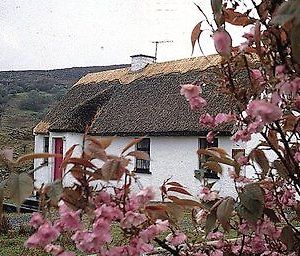 Connemara Country Cottages غالواي Exterior photo