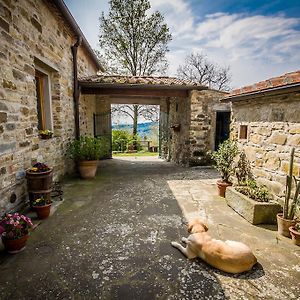 فيلا Agriturismo Podere Il Palagio فيسولي Exterior photo