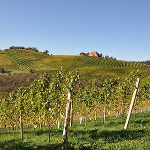 مبيت وإفطار Ratsch an der Weinstraße Weingut Koegl Exterior photo