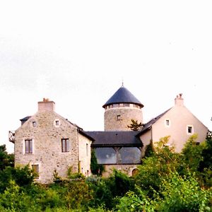 مبيت وإفطار Rochefort-sur-Loire Au Moulin Geant Exterior photo